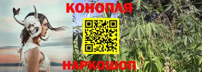 сатива Гагарин