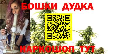 мдпв Гатчина