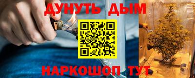 мдпв Гатчина