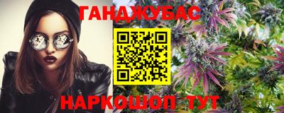 сатива Гагарин