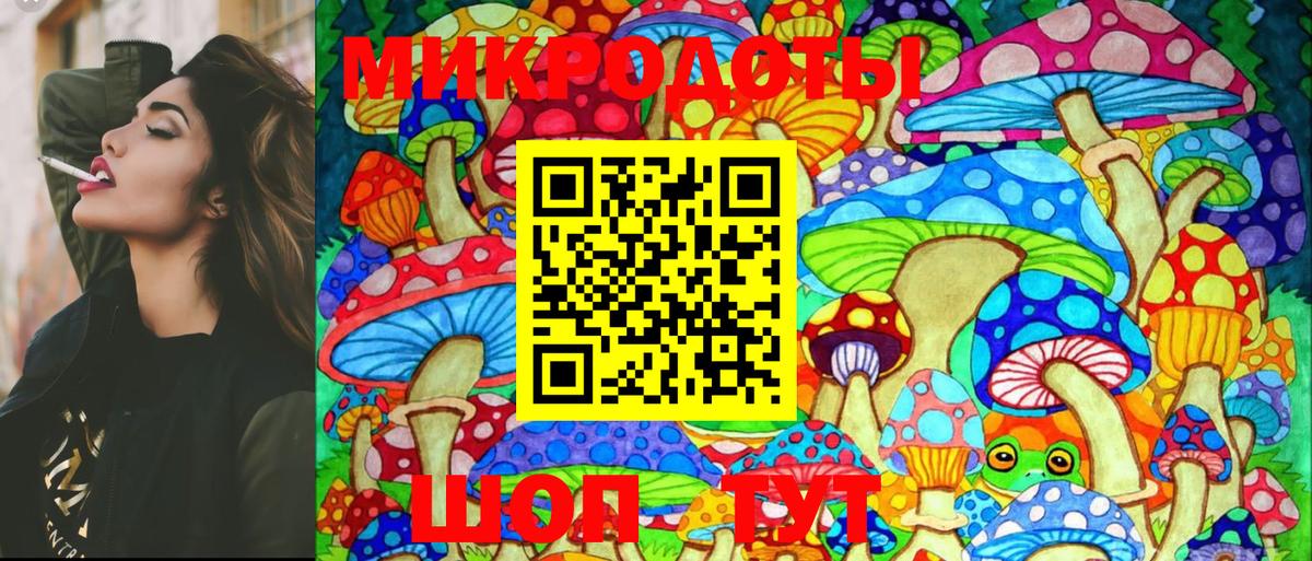 Галлюциногенные грибы Psilocybe Шелехов