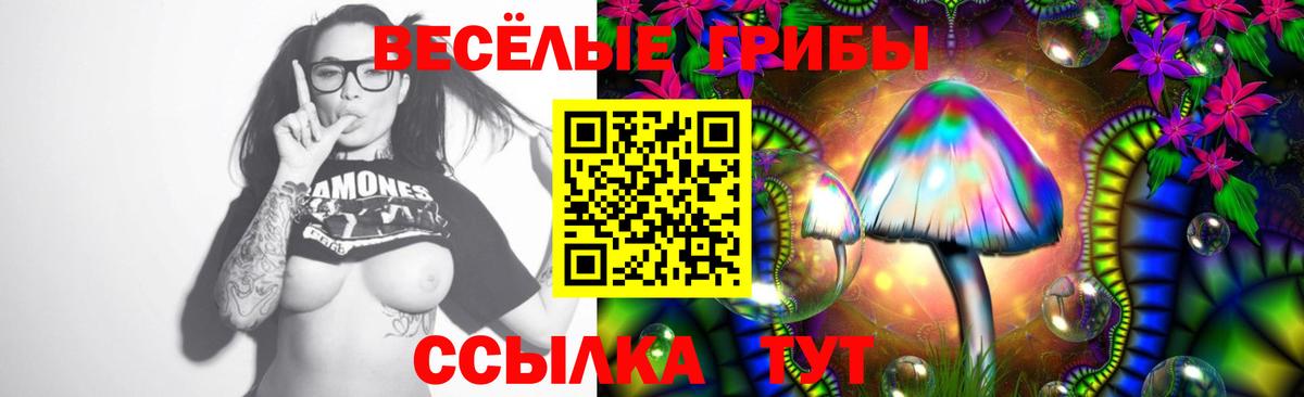Шелехов  Псилоцибиновые грибы мицелий  Вход с VPN  Галлюциногенные грибы прущие грибы 